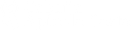 Apícola Casta Apícola Casta